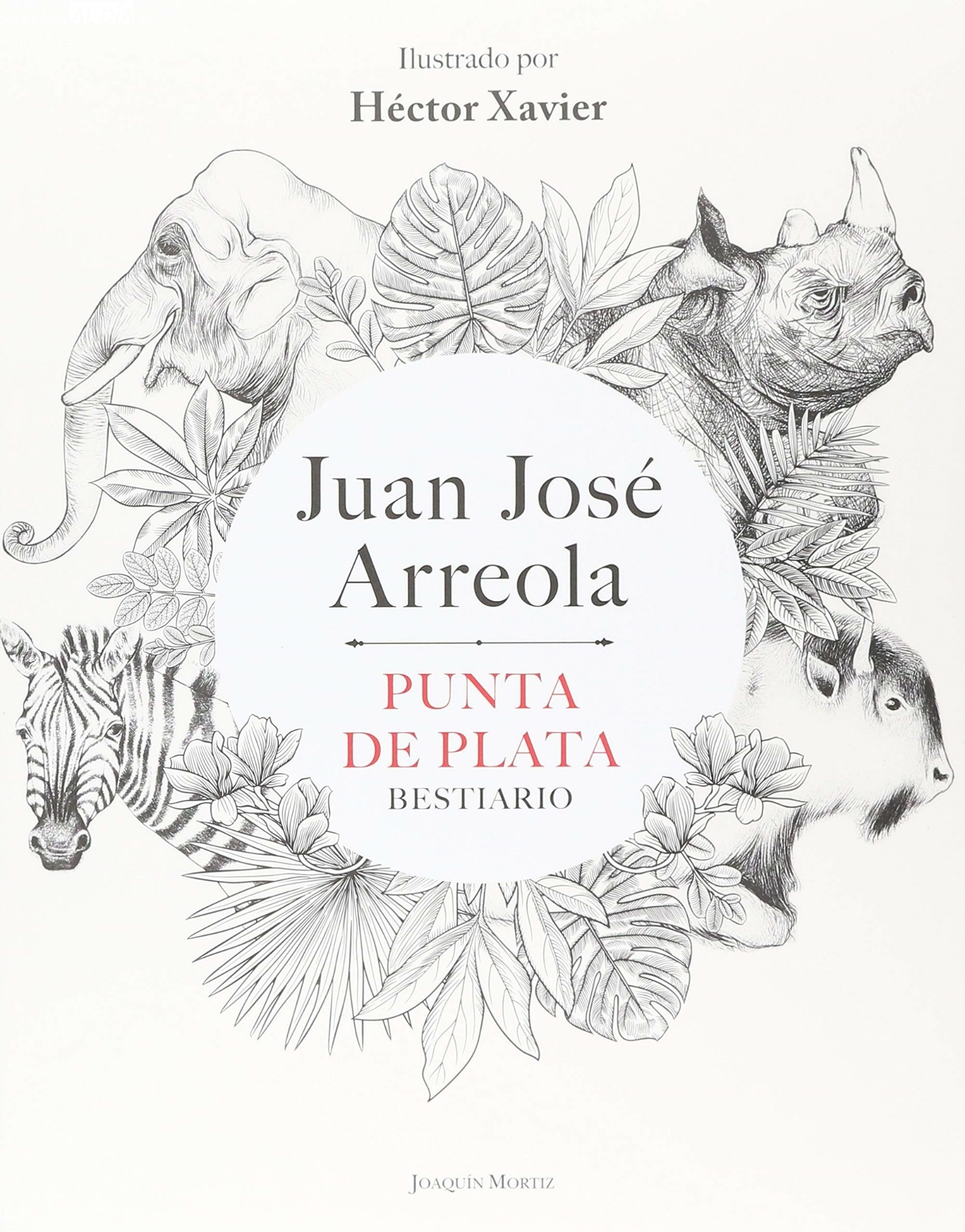 Punta de plata